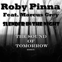 Slender in the Night (feat. Marcus Grey) [Sound of Tomorrow Radio] Song Lyrics