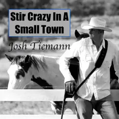 Stir Crazy in a Small Town - Single by Josh Tiemann album reviews, ratings, credits