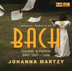Violin Partita No. 1 in B Minor, BWV 1002: V. Sarabande Song Lyrics