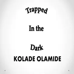 Trapped in the Dark - Single by Kolade Olamide album reviews, ratings, credits