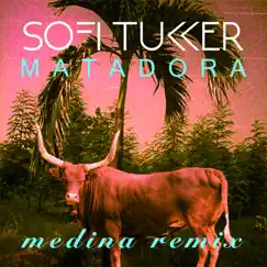 Matadora (Medina Remix) - Single by Sofi Tukker album reviews, ratings, credits