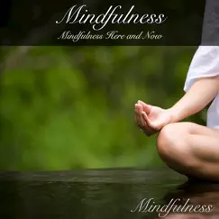 Mindfulness: Mindfulness Here and Now by Mindfulness album reviews, ratings, credits