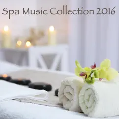 Spa Music Collection 2016 – Day Spa, Best New Spa Sounds for Relaxing Spa Day at Home by Spa & Spa album reviews, ratings, credits