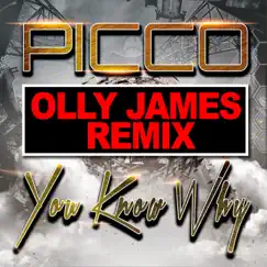 You Know Why (Remixes) - Single by Picco album reviews, ratings, credits