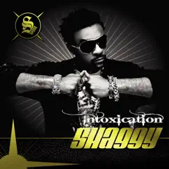 Intoxication by Shaggy album reviews, ratings, credits
