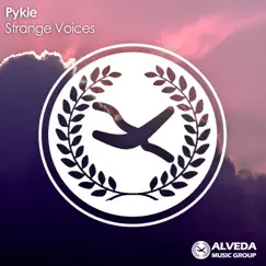 Strange Voices - Single by Pykie album reviews, ratings, credits