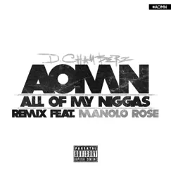 A.O.M.N. (All of My N****s) [Remix] [feat. Manolo Rose] Song Lyrics