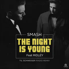 The Night Is Young (feat. Ridley) [Til Schweiger Radio Remix] - Single by DJ Smash album reviews, ratings, credits