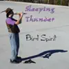 Bird Spirit album lyrics, reviews, download