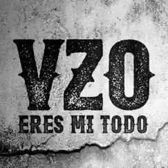 Eres Mi Todo - Single by Vizzio album reviews, ratings, credits