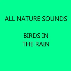 Birds in the Rain by All Nature Sounds album reviews, ratings, credits