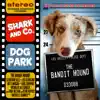Dog Park (From "the Bandit Hound") - Single album lyrics, reviews, download