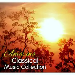 Amazing Classical Music Collection – Relax with Chopin Music by Cyprian Nimka album reviews, ratings, credits