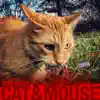 Cat & Mouse - Single album lyrics, reviews, download