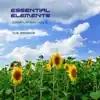 Essential Elements (Compilation, Vol. 2) album lyrics, reviews, download