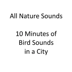 10 Minutes of Bird Sounds in a City - EP by All Nature Sounds album reviews, ratings, credits