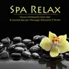 Spa Relax - Musica Rilassante New Age & Musica Spa per Massaggi Rilassanti e Terme album lyrics, reviews, download
