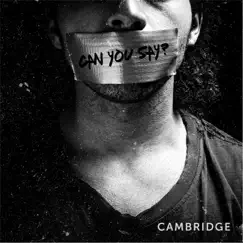 Can You Say? - Single by Cambridge album reviews, ratings, credits