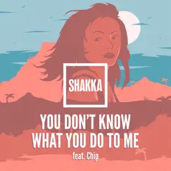 You Don't Know What You Do to Me (feat. Chip) Song Lyrics