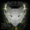 Blossoms album lyrics, reviews, download