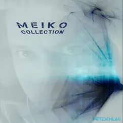 Techno Injection (Meiko Remix) Song Lyrics