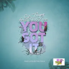 You Got It (feat. Jah Free) - Single by Cz TIGER album reviews, ratings, credits