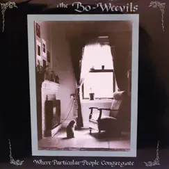 Where Particular People Congregate by The Bo-Weevils album reviews, ratings, credits
