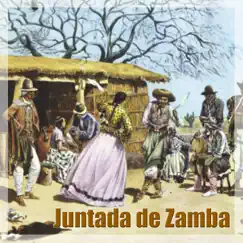 Zamba de Mi Esperanza (En Vivo) Song Lyrics