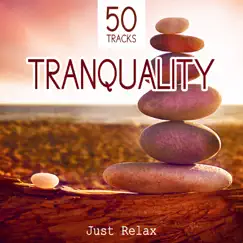 Tranquility: Just Relax - 50 Deep Meditation Tracks and Healing Sounds to Relax, Music for Spa, Study, Sleep and Well Being by Various Artists album reviews, ratings, credits