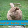 Easter Bunny Song - Single album lyrics, reviews, download