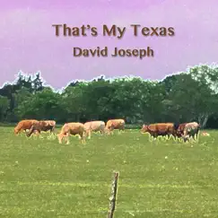 That's My Texas - Single by David Joseph album reviews, ratings, credits
