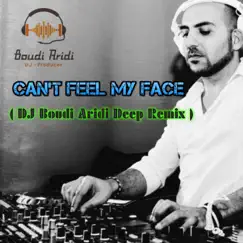 Can't Feel My Face (DJ Boudi Aridi Deep Remix) Song Lyrics