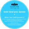 Whats Your Underground - Single album lyrics, reviews, download