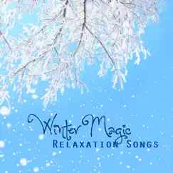 Winter Magic Relaxation Songs - New Age Relaxing Music for Winter Season and December Nights by Winter New Age Music album reviews, ratings, credits