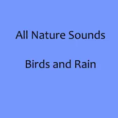Birds Chirping and Rain Song Lyrics