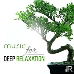 Calming Relaxation Meditation Song Lyrics