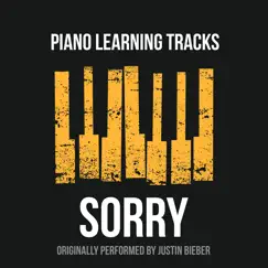 Sorry (Piano Version) Song Lyrics
