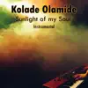 Sunlight of My Soul (Instrumental) album lyrics, reviews, download