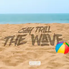 The Wave - Single by Zay Trill album reviews, ratings, credits