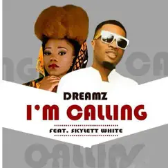 I'm Calling (feat. Skylett White) - Single by Dreamz album reviews, ratings, credits