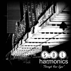Through Your Eyes - Single by Sol Harmonics album reviews, ratings, credits