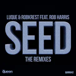 Seed (feat. Rob Harris) [Alan Capetillo & Ricardo Alvarez Remix] Song Lyrics