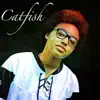 Catfish - Single album lyrics, reviews, download