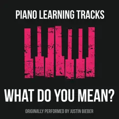 What Do You Mean (Piano Version) - Single by Piano Learning Tracks album reviews, ratings, credits