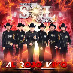 Al Rojo Vivo by Conjunto Sol De Ojinaga album reviews, ratings, credits