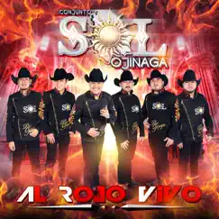 Acepto Mi Derrota Song Lyrics