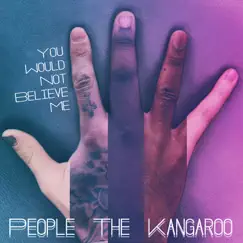 You Would Not Believe Me - Single by People the Kangaroo album reviews, ratings, credits