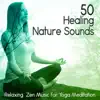 50 Healing Nature Sounds and Relaxing Zen Music for Meditation and Yoga album lyrics, reviews, download