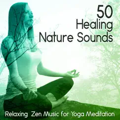 50 Healing Nature Sounds and Relaxing Zen Music for Meditation and Yoga by Mindfulness Meditation World album reviews, ratings, credits