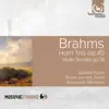 Brahms: Horn Trio, Op. 40 & Violin Sonata, Op. 78 album lyrics, reviews, download